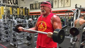 hulk-hogan-180740