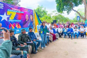 1 Gabinetes Comunales 19