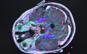 6931deb10c21e2-45115453.r_d.1037-567-5ad2f9