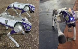 whatsapp-image-2026-03-21-at-9.07.10-am-e529da