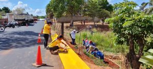 4 Trabajos en El Pao