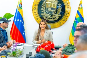 2 Plan de Lluvias