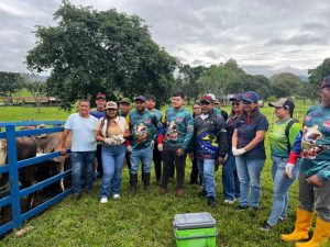 IMG-20260618-WA0046(1)