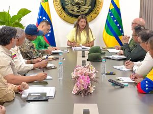 1 Plan Nacional de Caracterización