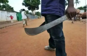 Screenshot 2026-08-05 at 17-43-56 Tragedia en el campo primos brutalmente asesinados a machetazos mientras pastoreaban – Diario Contraste Noticias