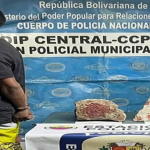Screenshot 2026-09-01 at 22-28-47 Hombre fue detenido tras agredir a pedradas a su madre en Puerto Cabello - Diario Versión Final